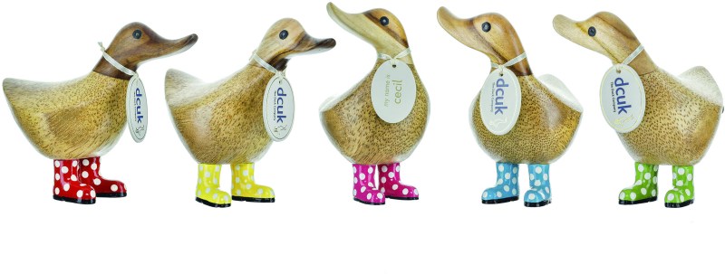 D9WS product image 2