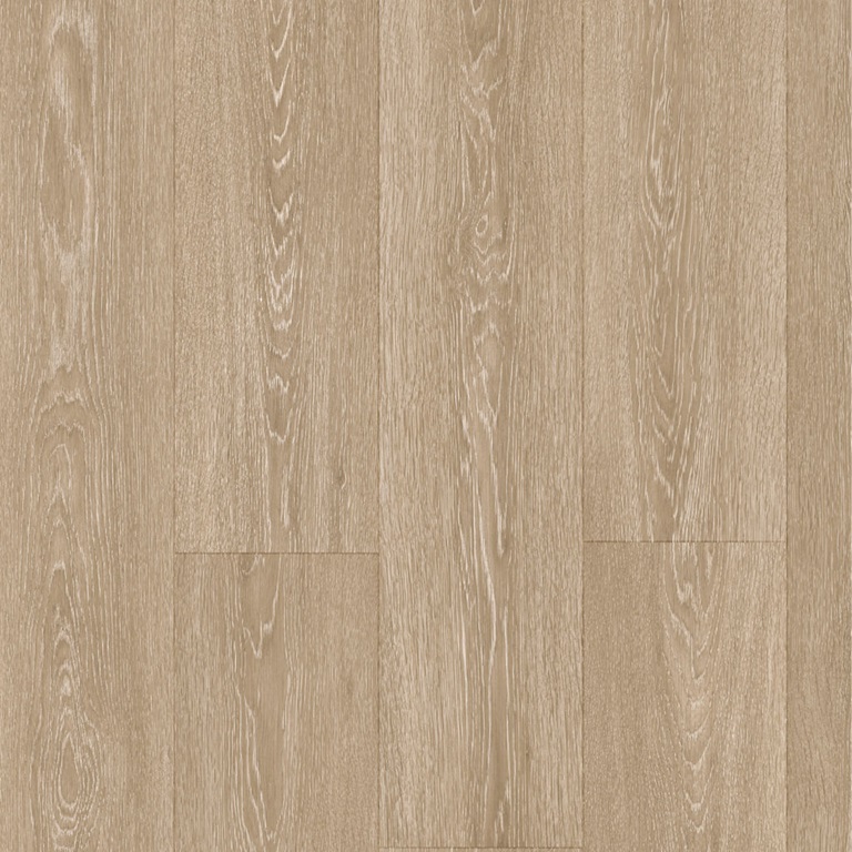 Valley oak light brown