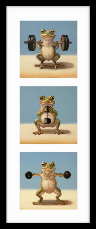 AK12421 Frog Triptych   22 x 52cm   PF2