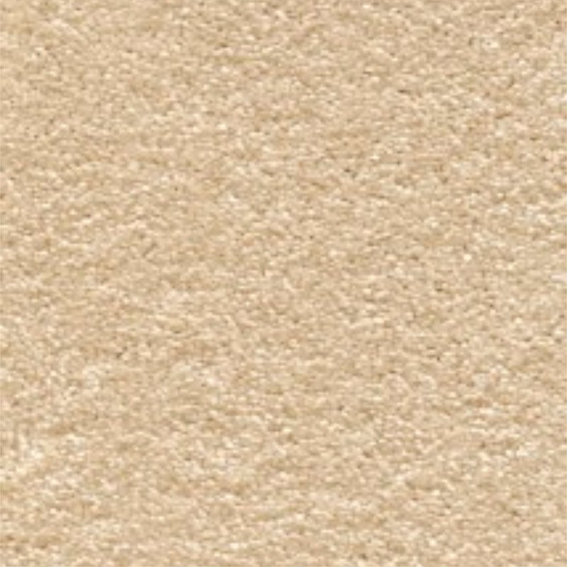 Volcanic Ash   Deluxe