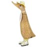 D3BRIT product image  2 