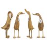 DCUK Natural Duck