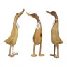 DCUK Natural Ducklet