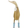 DW2S product image  1 