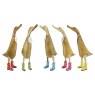 DW2S product image  2 