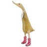 DW2S product image  4 