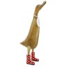 DW2S product image  5 