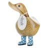 D9WS product image  1 