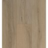 Ocean 8 V4 Gyant Light Natural