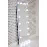 Hollywood Floor Mirror 1800x800MM