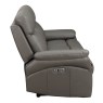 3 seater electic 5