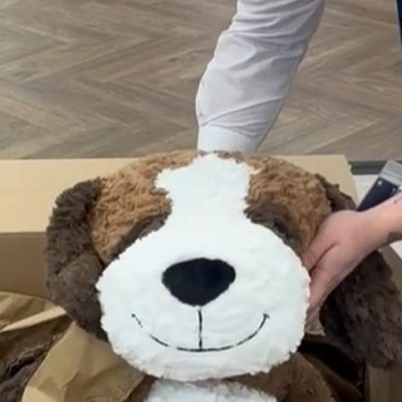 SPECIAL DELIVERY! Meet our newest... 