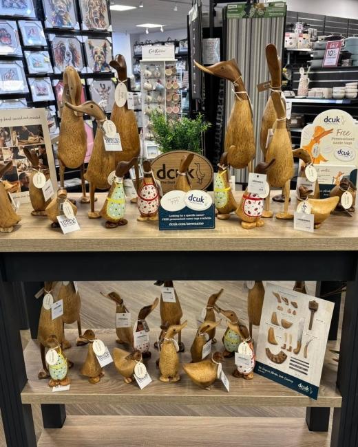 Ay up me duck! A flock of ducks... 