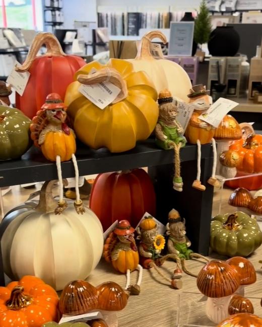 Autumn has officially arrived at... 