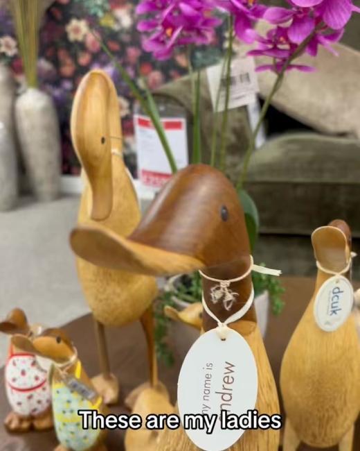 Meet the Flockers! Each of our... 