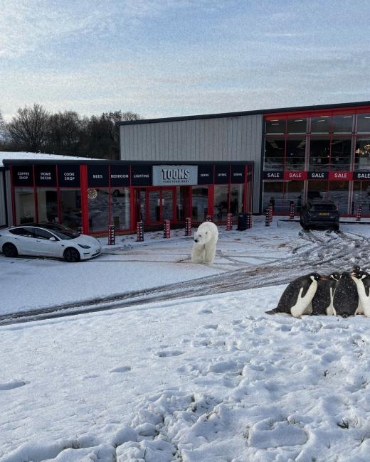 We're Open! ️ We hope everyone... 